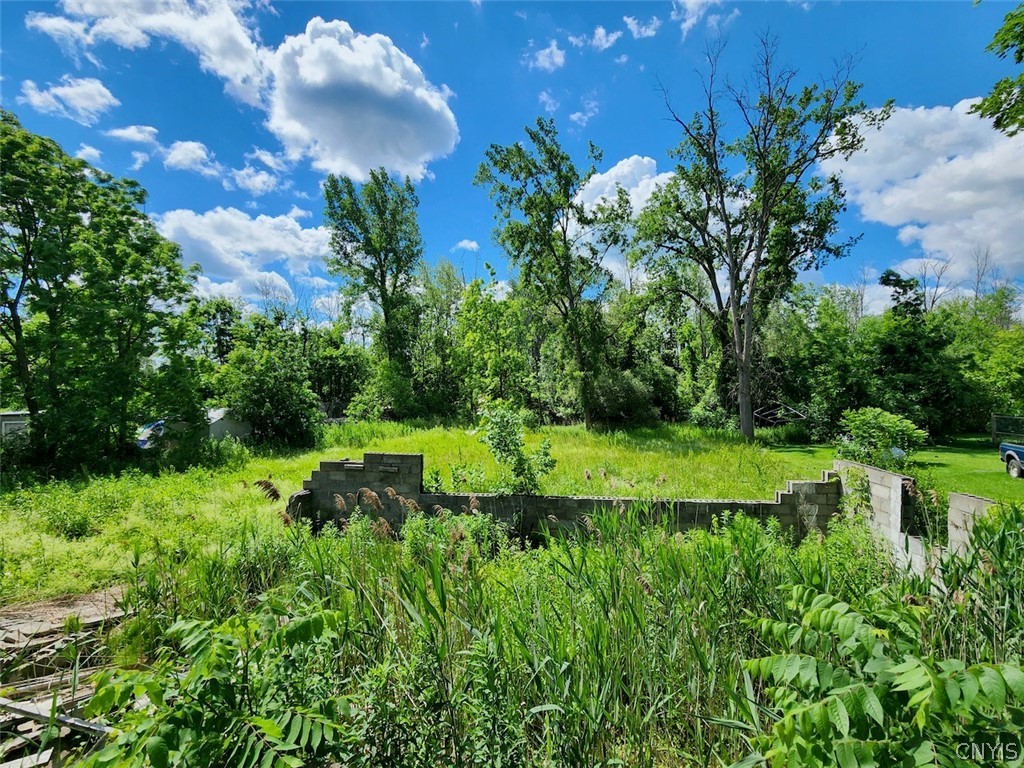 2102 Warners Road Van Buren, NY 13164 - Photo 5 of 10