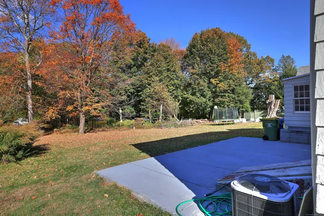 a view of yard with green space