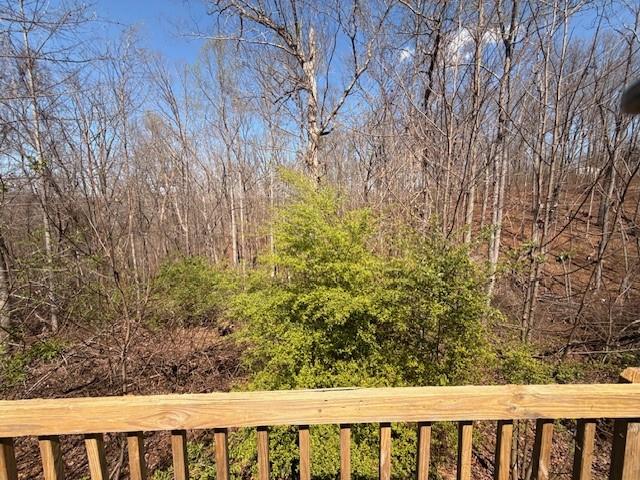 460 Cherokee Trail Ball Ground, GA 30107 - Photo 4 of 23