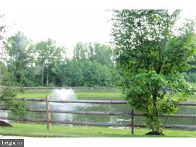 a view of a park that has a lots of trees