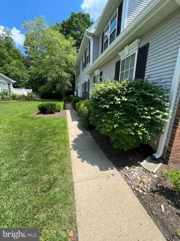 a view of a garden with pathway