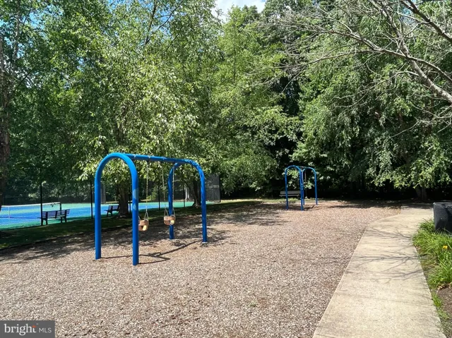 a view of a park with large trees
