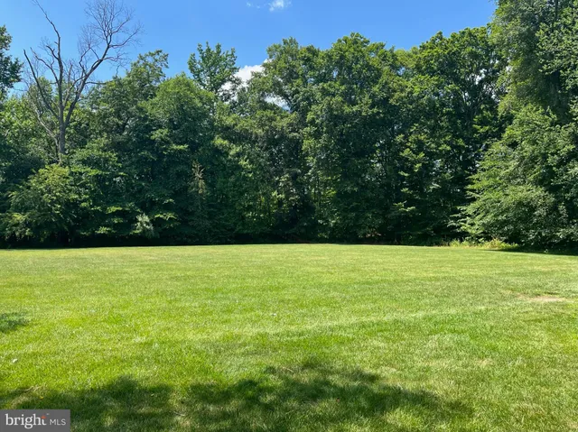 a view of a field with an tree