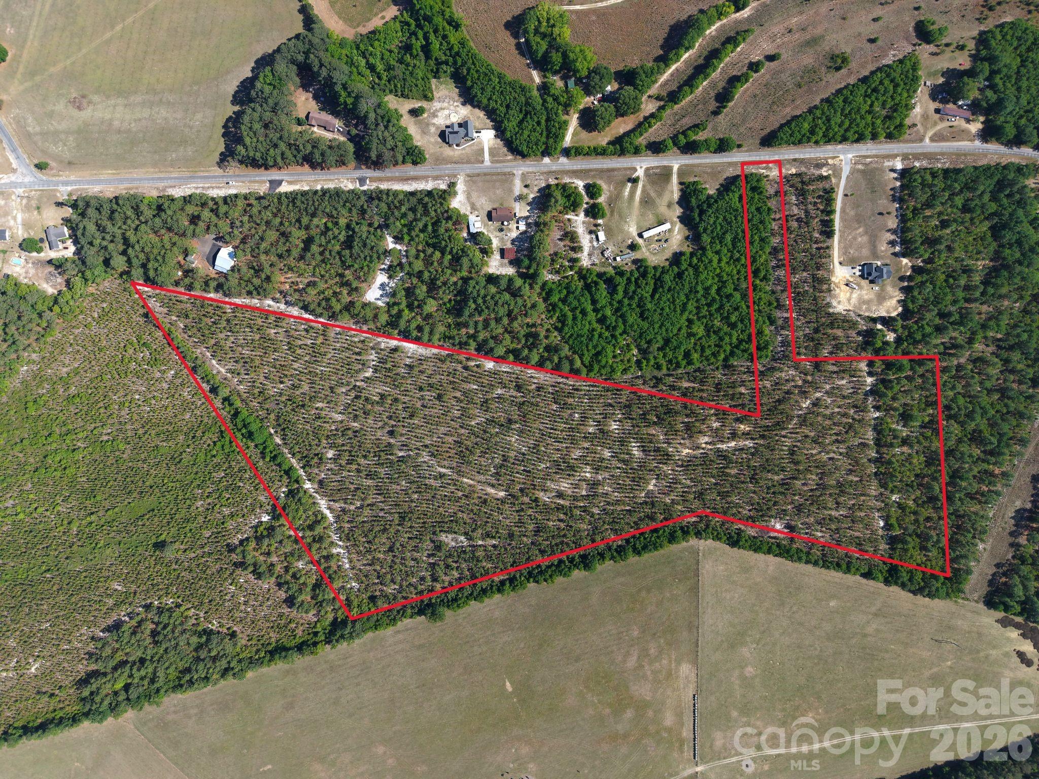 0 Mt Olivet Church Road Patrick, SC 29584 - Photo 1 of 15 a view of a basket ball ground