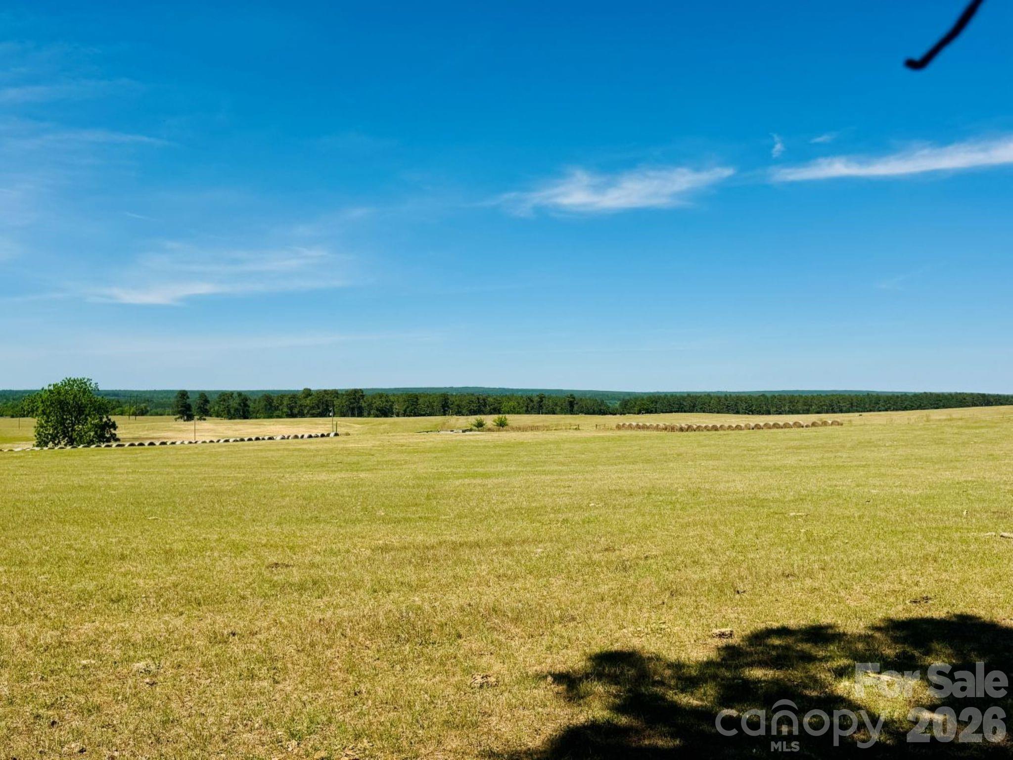 0 Mt Olivet Church Road Patrick, SC 29584 - Photo 12 of 15 a view of an ocean