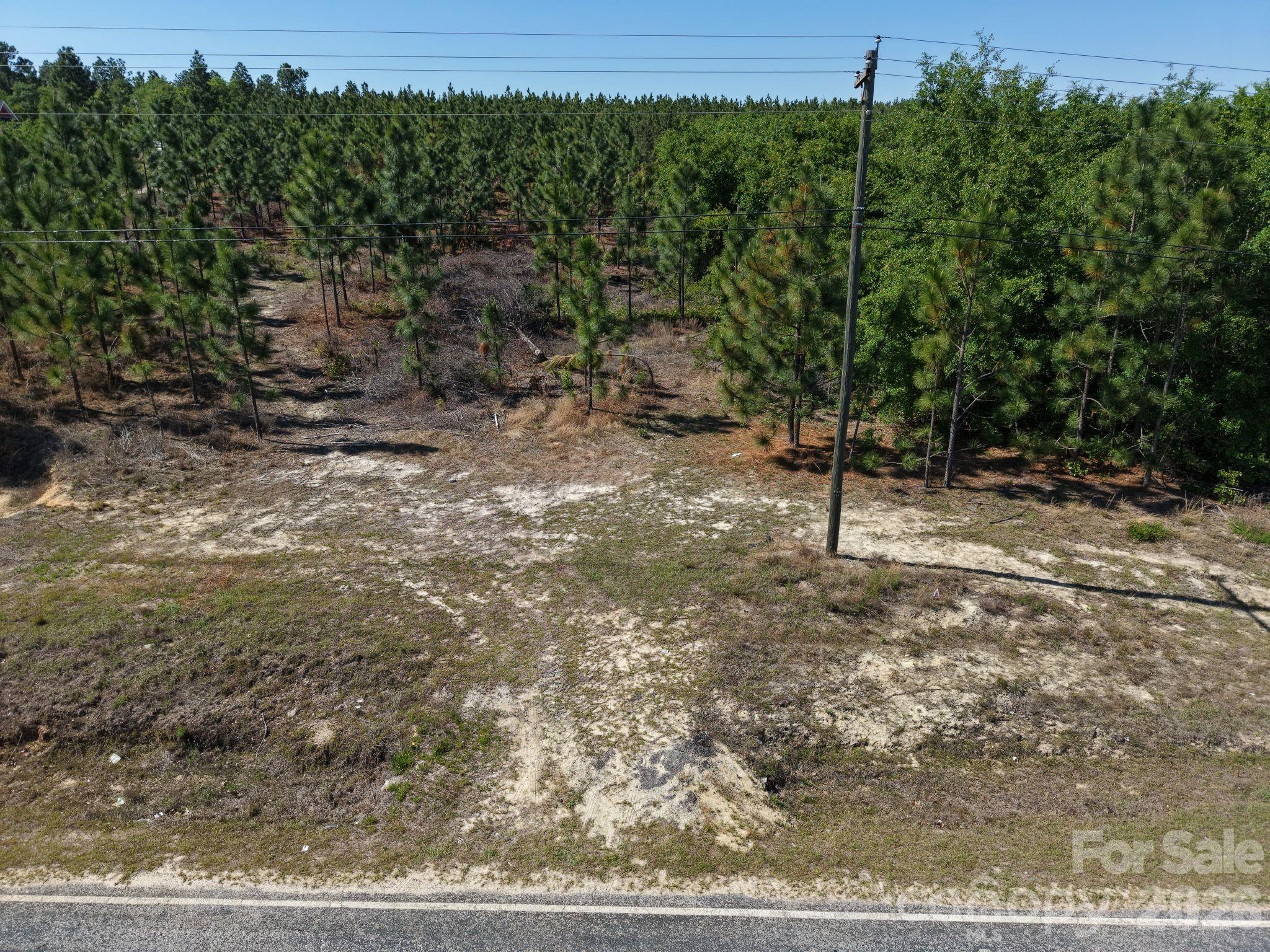 0 Mt Olivet Church Road Patrick, SC 29584 - Photo 14 of 15 a view of a yard with a tree