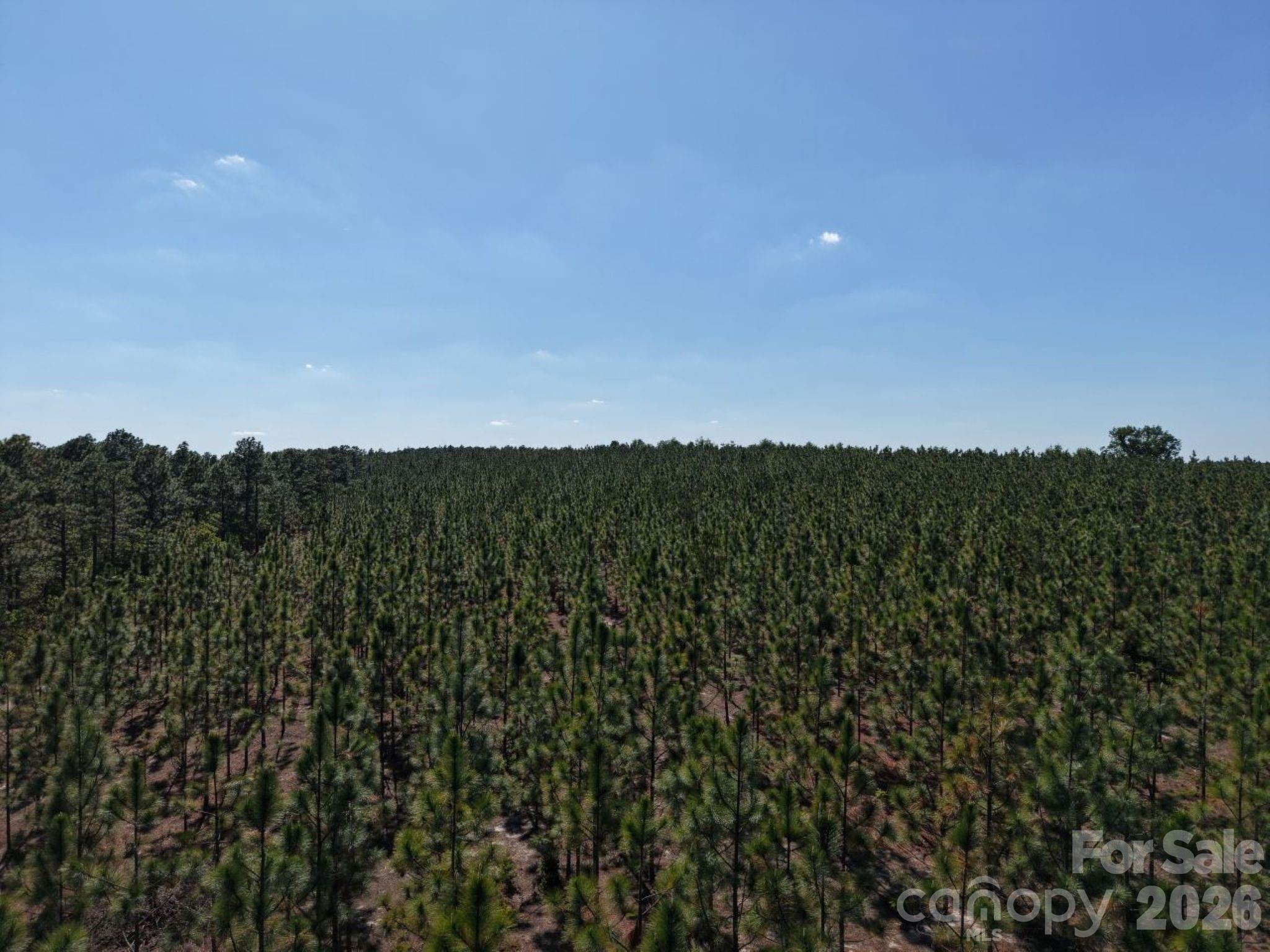 0 Mt Olivet Church Road Patrick, SC 29584 - Photo 15 of 15 a view of a green field