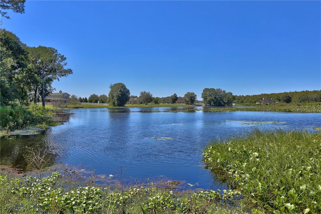 17518 Boy Scout Road Odessa, FL 33556 - Photo 1 of 1 LAKE located on the rear of the property