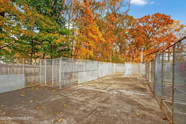 a backyard of a house