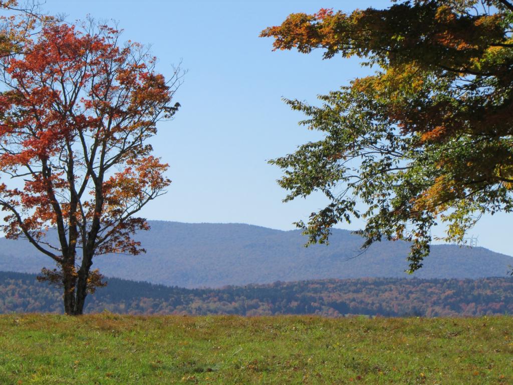 Lot 1.4 Smith Road, Unit 302001 4 Wilmington, VT 05363 - Photo 1 of 3 Gallery Image 1