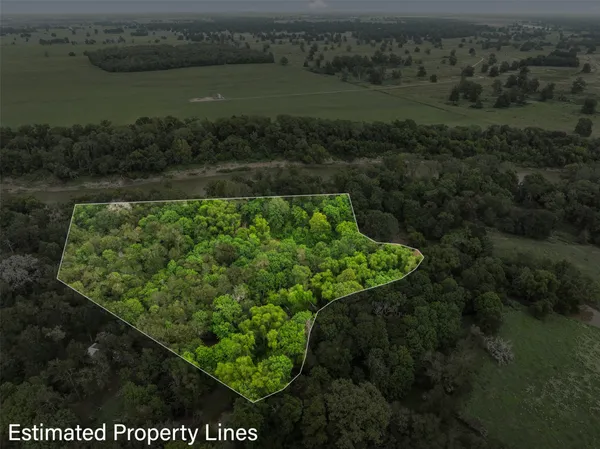 a view of a lush green forest with a houses