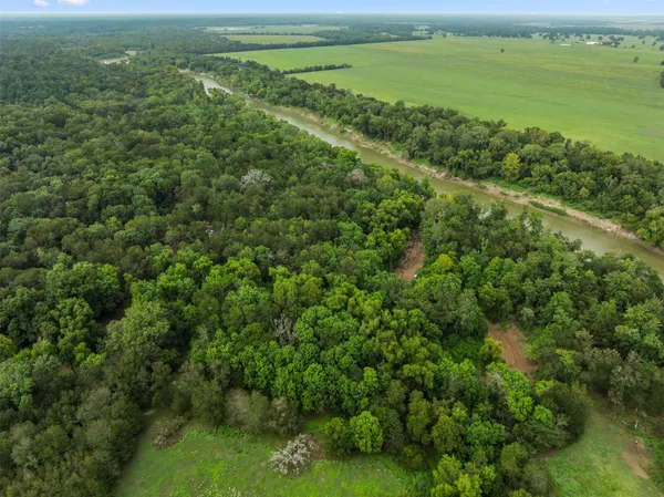 a view of a green field with lots of bushes