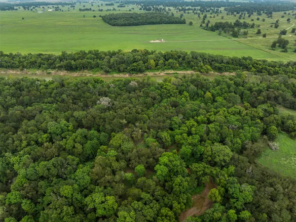an aerial view of residential houses with outdoor space and trees