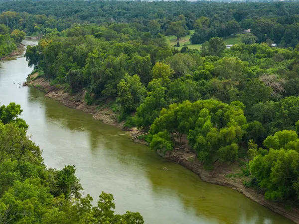 a view of a lush green forest with houses