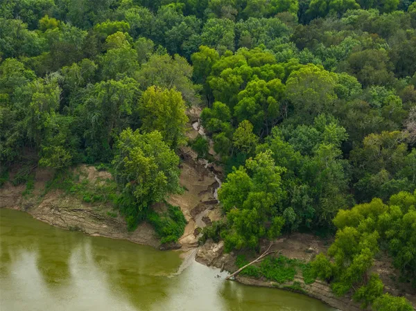 a view of a forest with a houses