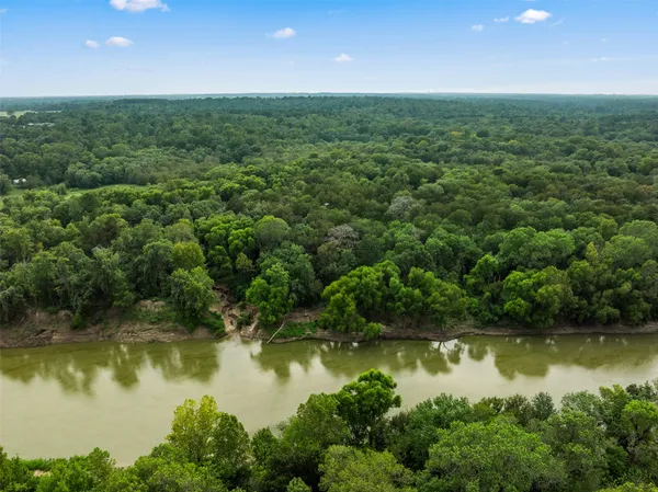 a view of a lake in middle of forest