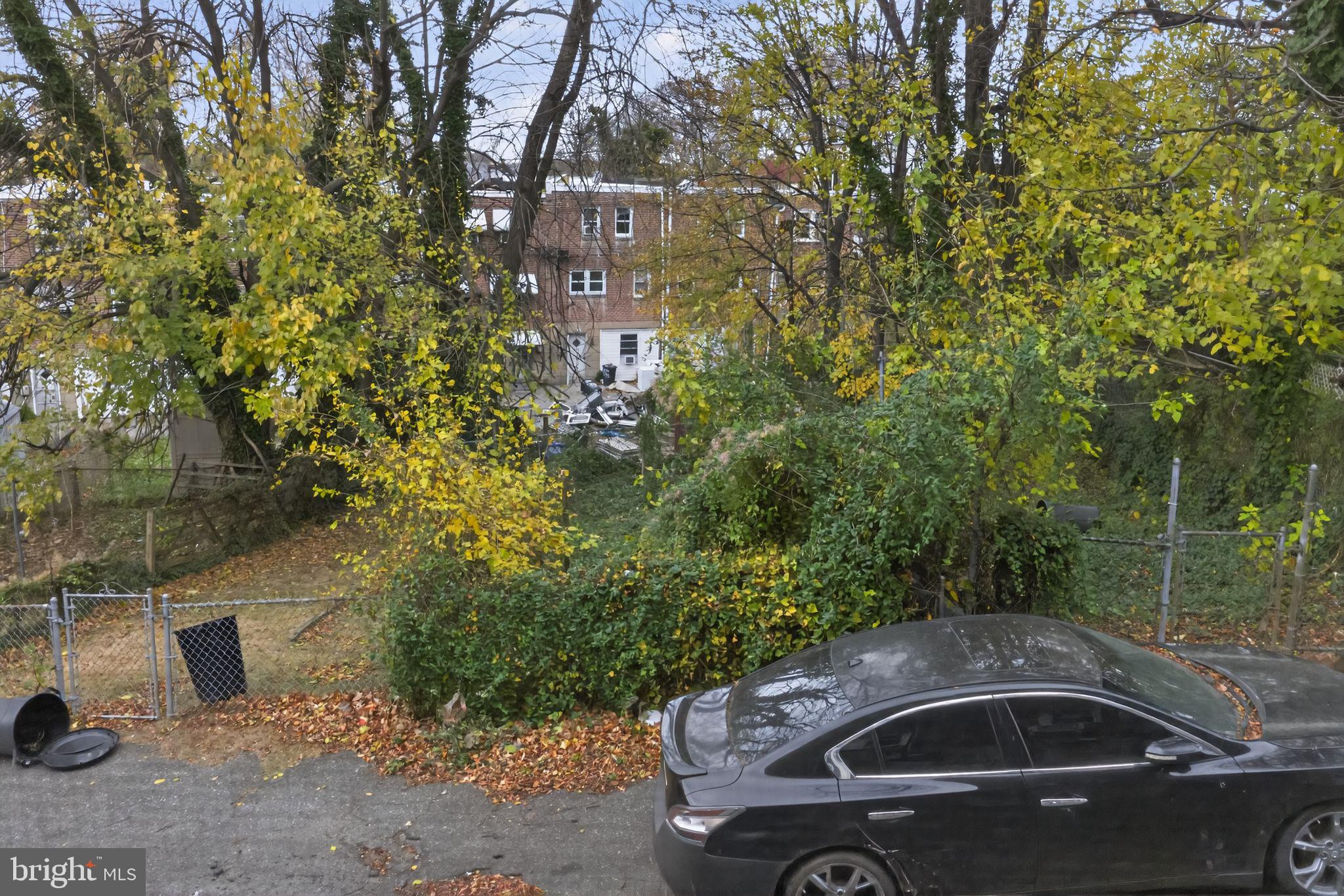 7181 Ruskin Lane Upper Darby, PA 19082 - Photo 28 of 30 a view of street with a large trees