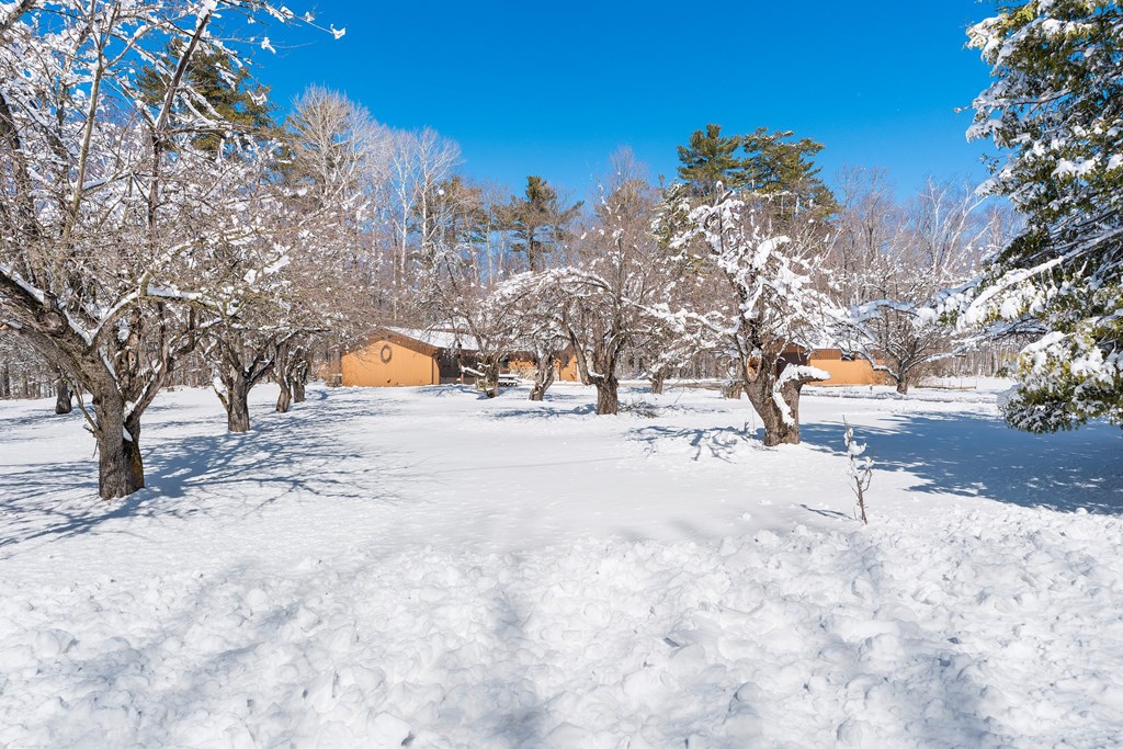 1468 Birchwood Road Ellison Bay, WI 54210 - Photo 8 of 58