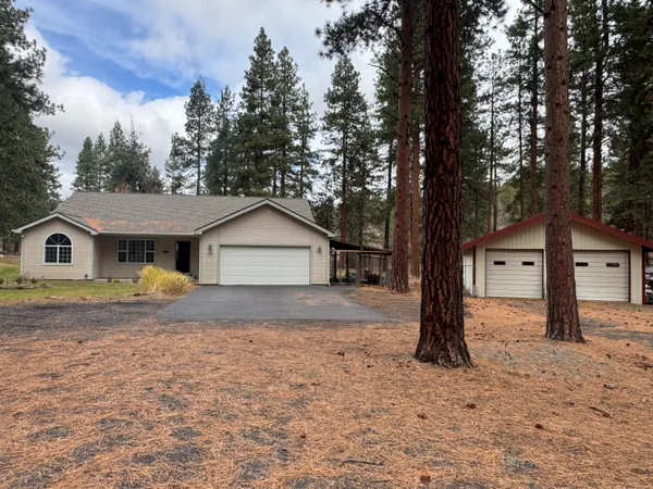 a house with a tree in front of it