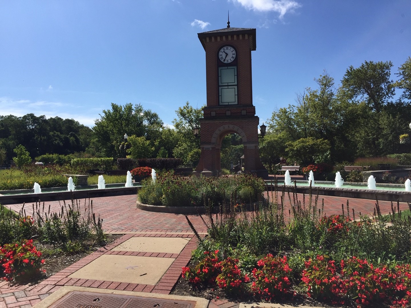 337 West Pt Circle Algonquin, IL 60102 - Photo 22 of 26 a view of a house with a yard and potted plants