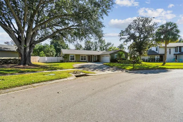 $3,500 | 4161 Rolling Springs Drive, Tampa, FL 33624