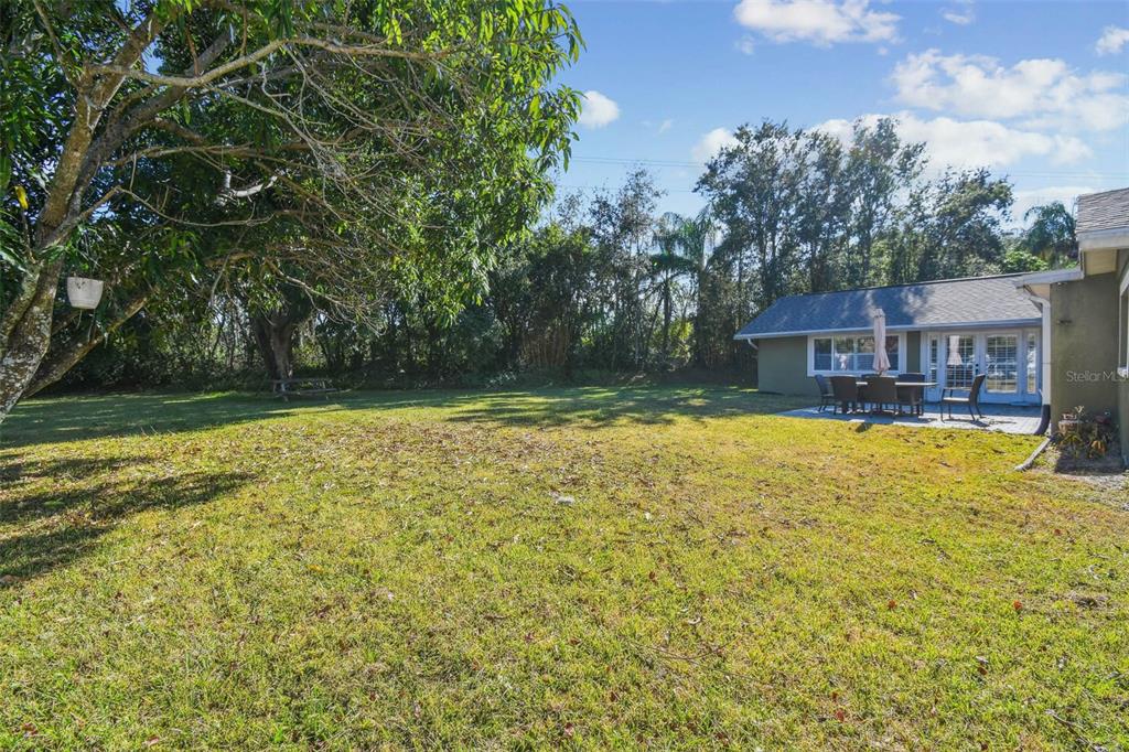 4161 Rolling Springs Drive Tampa, FL 33624 - Photo 49 of 52 a house view with swimming pool in front of it