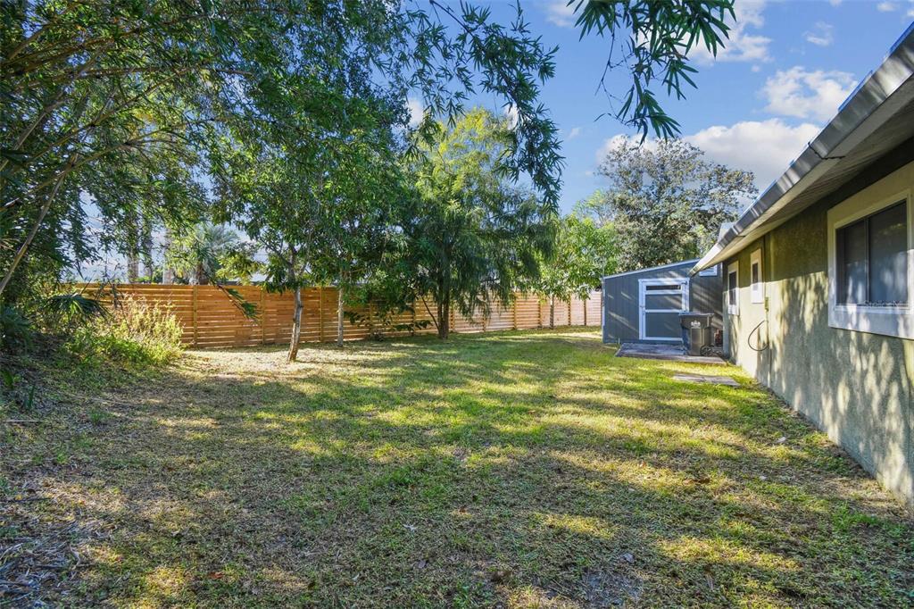 4161 Rolling Springs Drive Tampa, FL 33624 - Photo 51 of 52 a view of a yard with an tree
