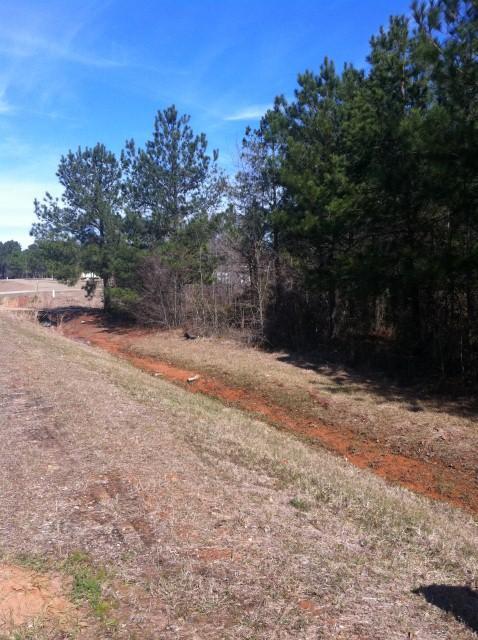 178 Terrell Road Elko, GA 31025 - Photo 1 of 1 a view of a yard with a tree