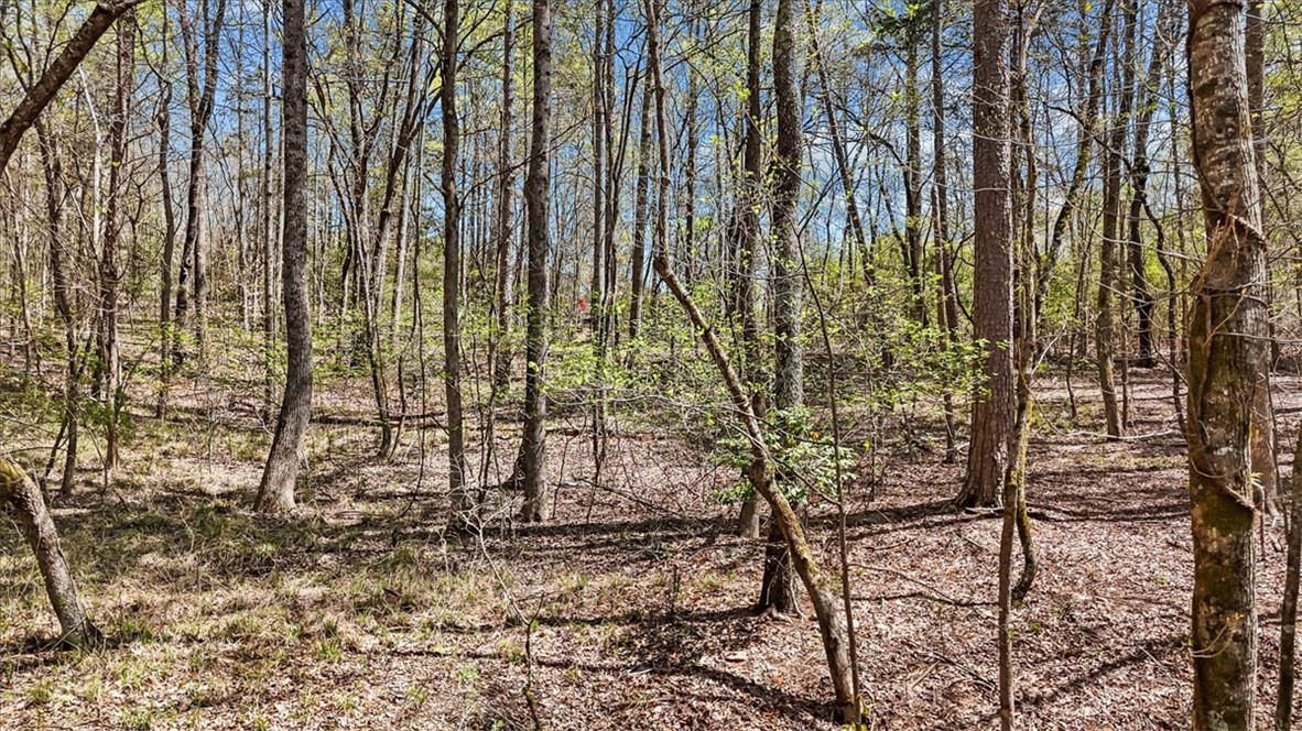250 Meldau Road Seneca, SC 29678 - Photo 2 of 17 Winter view of lot.