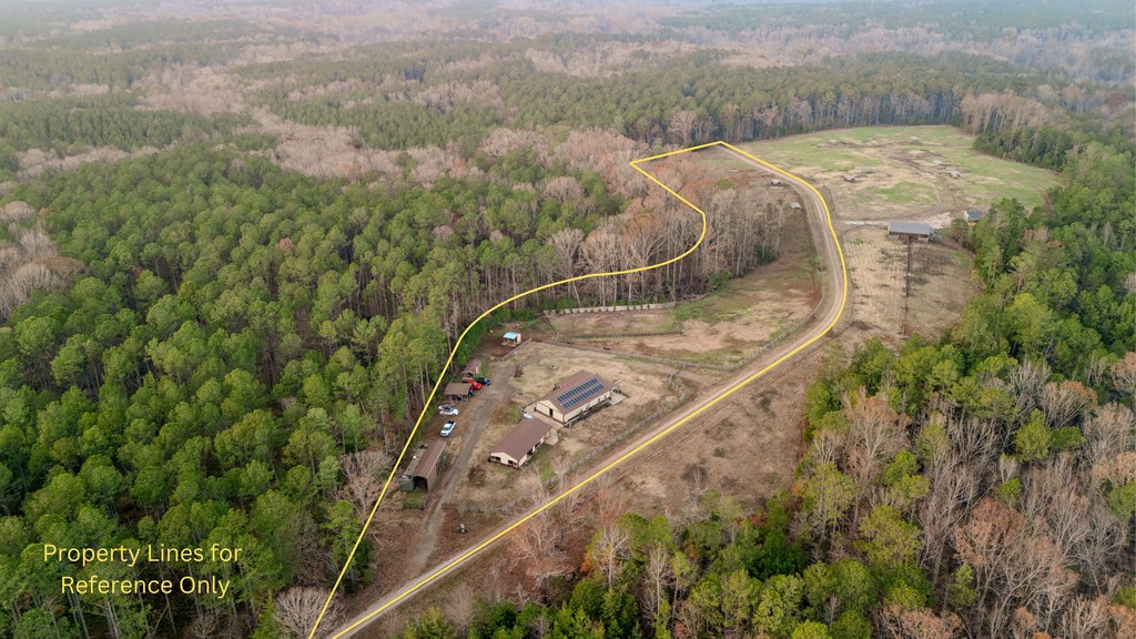 181 Tuck Road Bradley, SC 29819 - Photo 9 of 43 Gallery Image 9