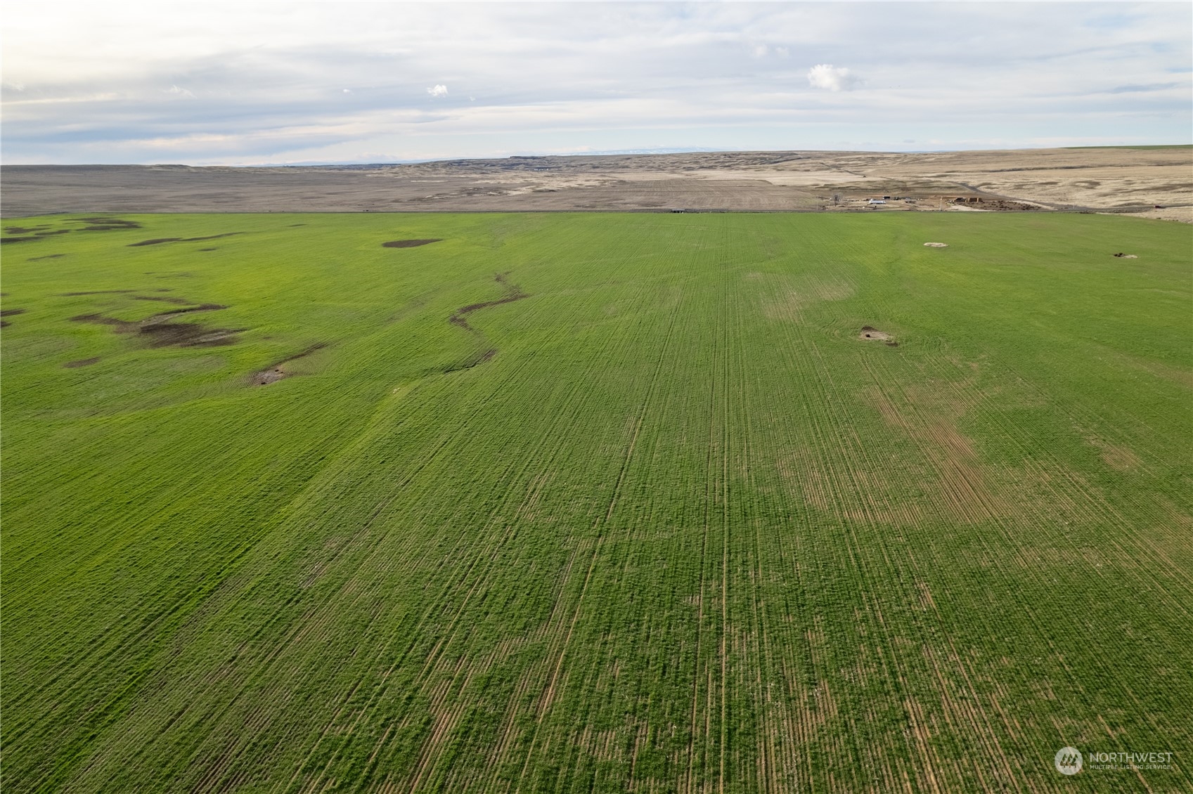 0 Rd 15.6 & Road Northeast Marlin, WA 98832 - Photo 11 of 18