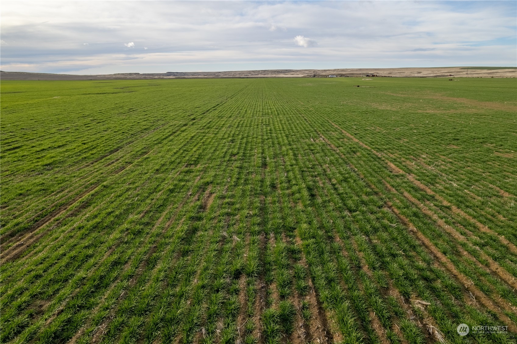 0 Rd 15.6 & Road Northeast Marlin, WA 98832 - Photo 12 of 18