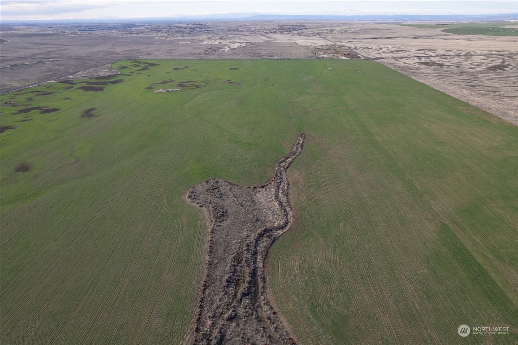 0 Rd 15.6 & Road Northeast Marlin, WA 98832 - Photo 15 of 18