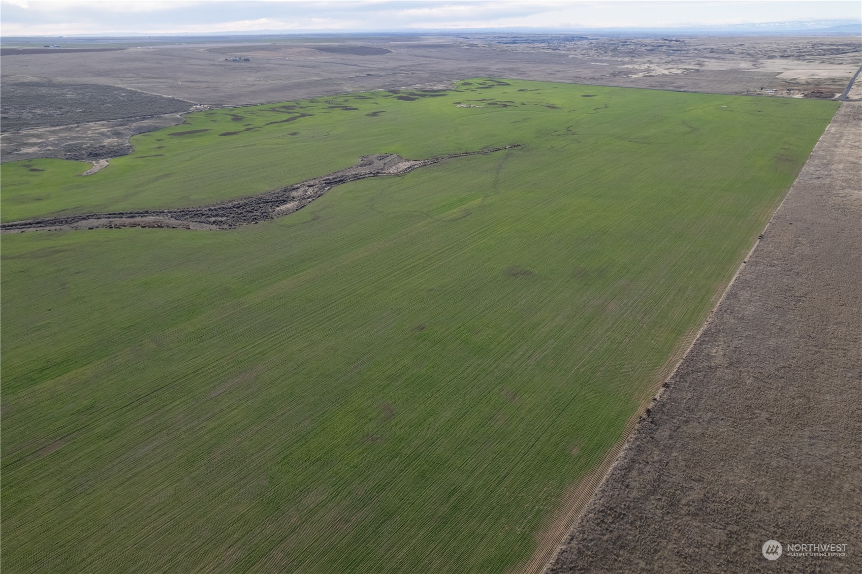 0 Rd 15.6 & Road Northeast Marlin, WA 98832 - Photo 16 of 18