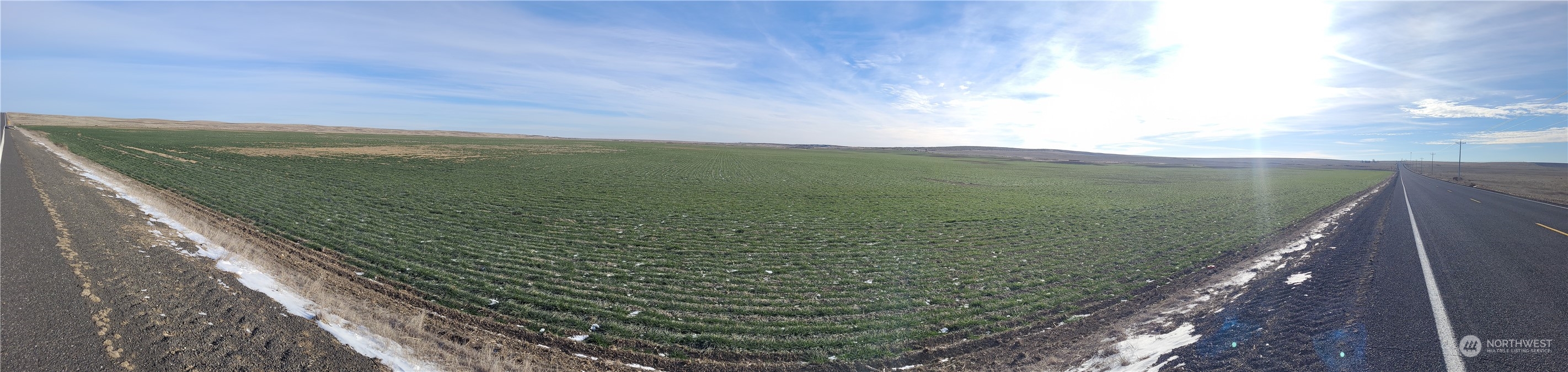 0 Rd 15.6 & Road Northeast Marlin, WA 98832 - Photo 18 of 18