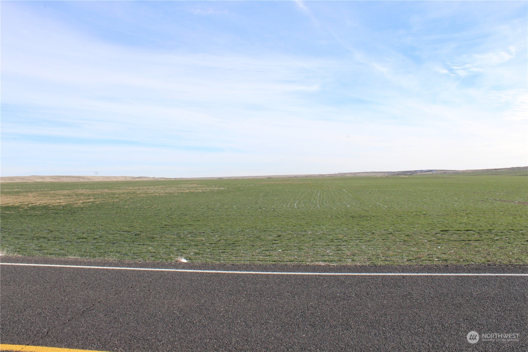 0 Rd 15.6 & Road Northeast Marlin, WA 98832 - Photo 3 of 18