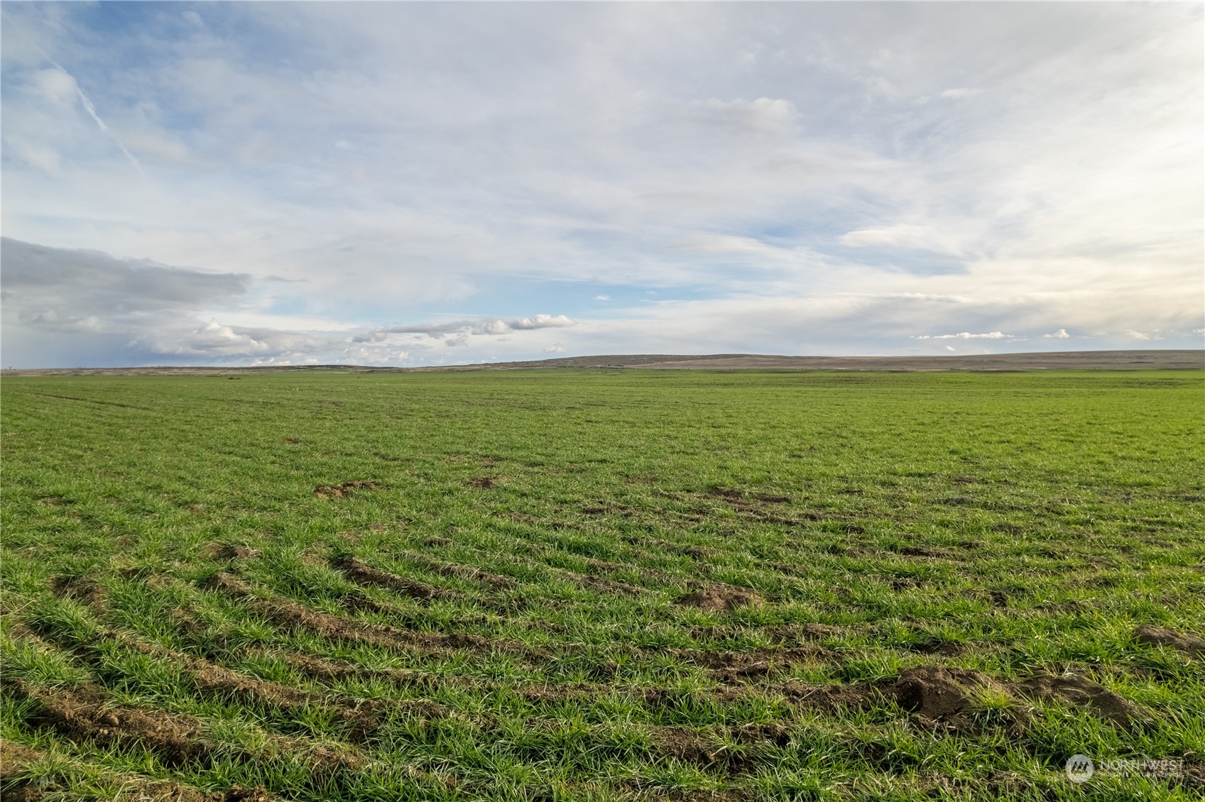 0 Rd 15.6 & Road Northeast Marlin, WA 98832 - Photo 8 of 18