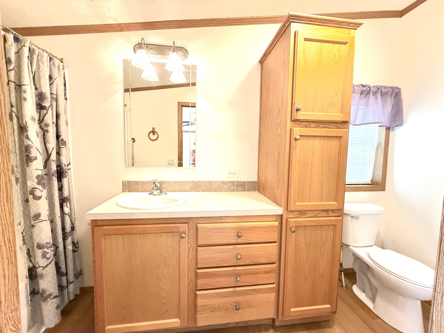 461 Meadowlark Circle, Unit A Sandwich, IL 60548 - Photo 18 of 28 a bathroom with a sink a toilet and shower