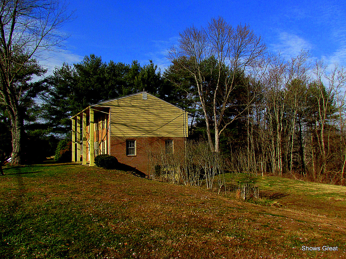4629 Nemmo Road Vinton, VA 24179 - Photo 14 of 16 Rear Yard