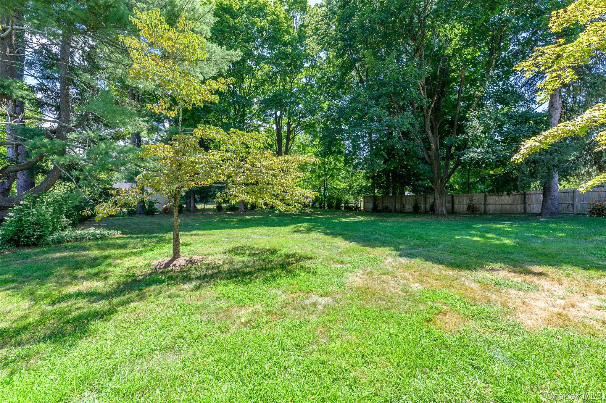 459 Old Post Road Bedford, NY 10506 - Photo 21 of 23 View of yard featuring view of wooded area