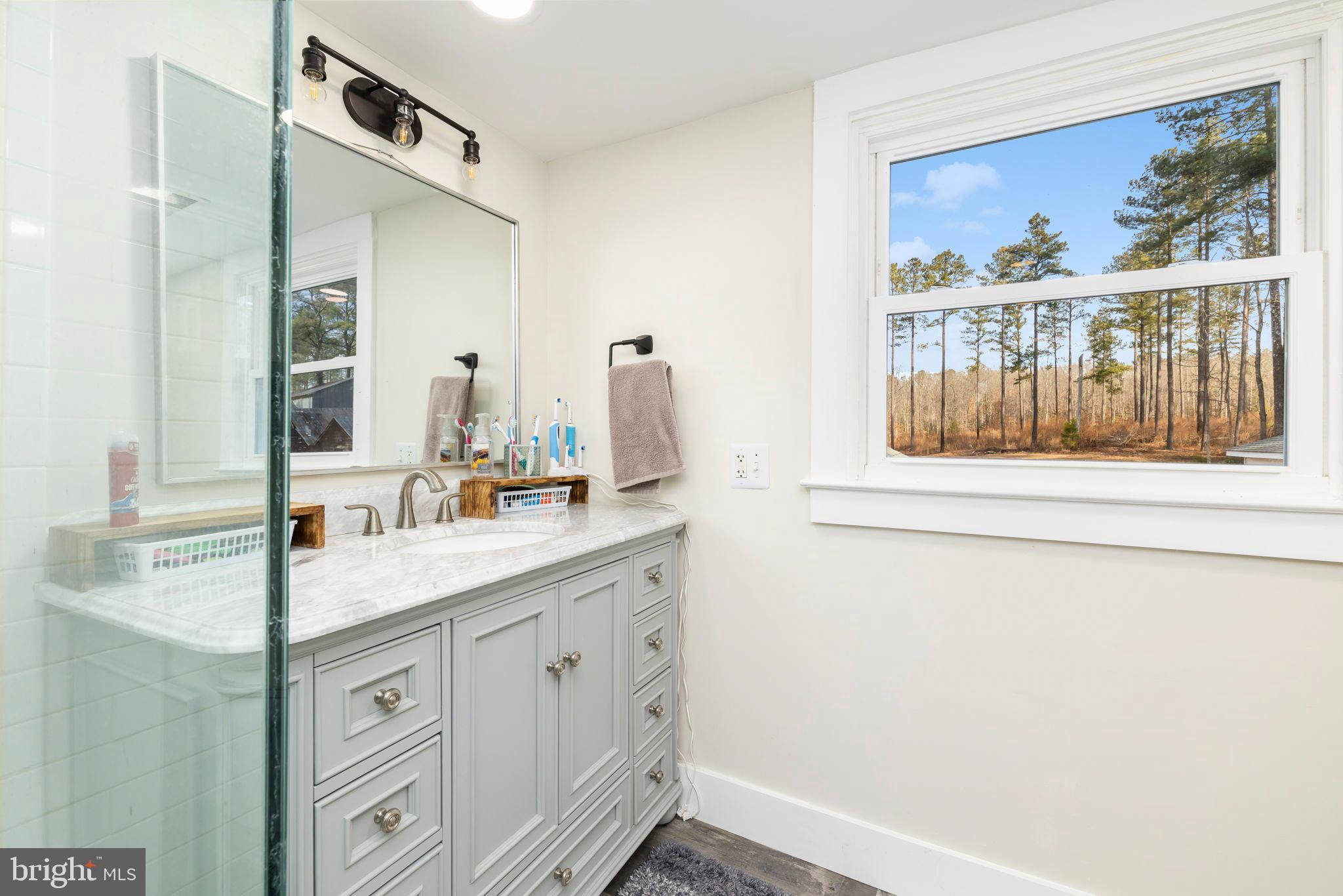1052 South Hill Road Brodnax, VA 23920 - Photo 35 of 100 a bathroom with a sink and a mirror