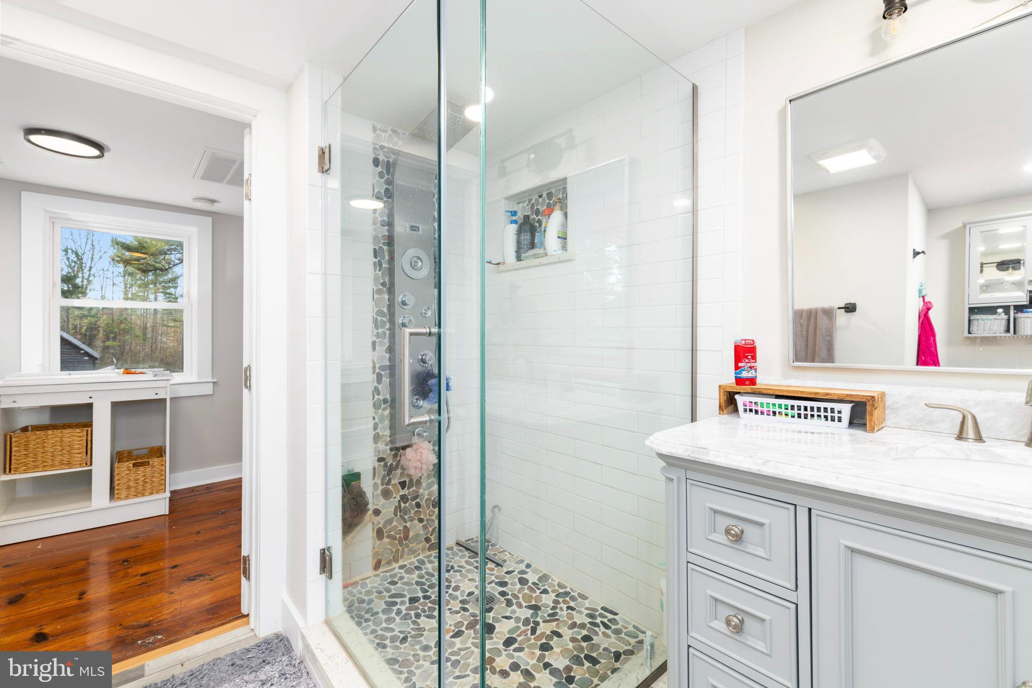 1052 South Hill Road Brodnax, VA 23920 - Photo 36 of 100 a bathroom with a sink and a mirror