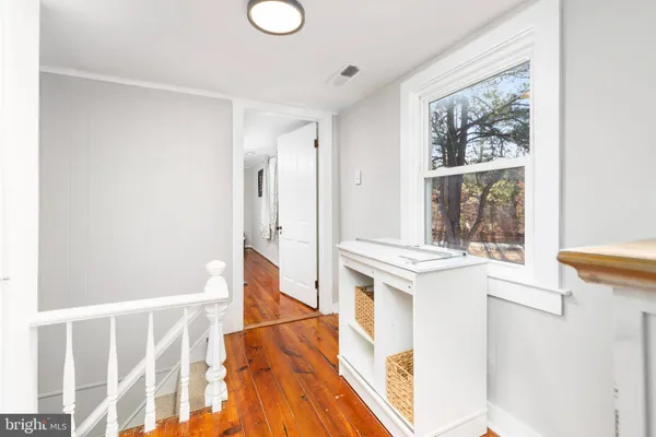 a view of a yard with large trees