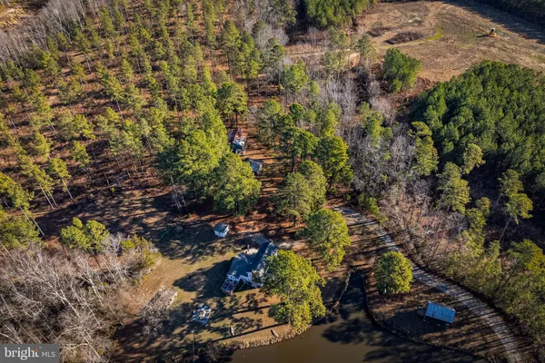 a front view of a house with yard and tree