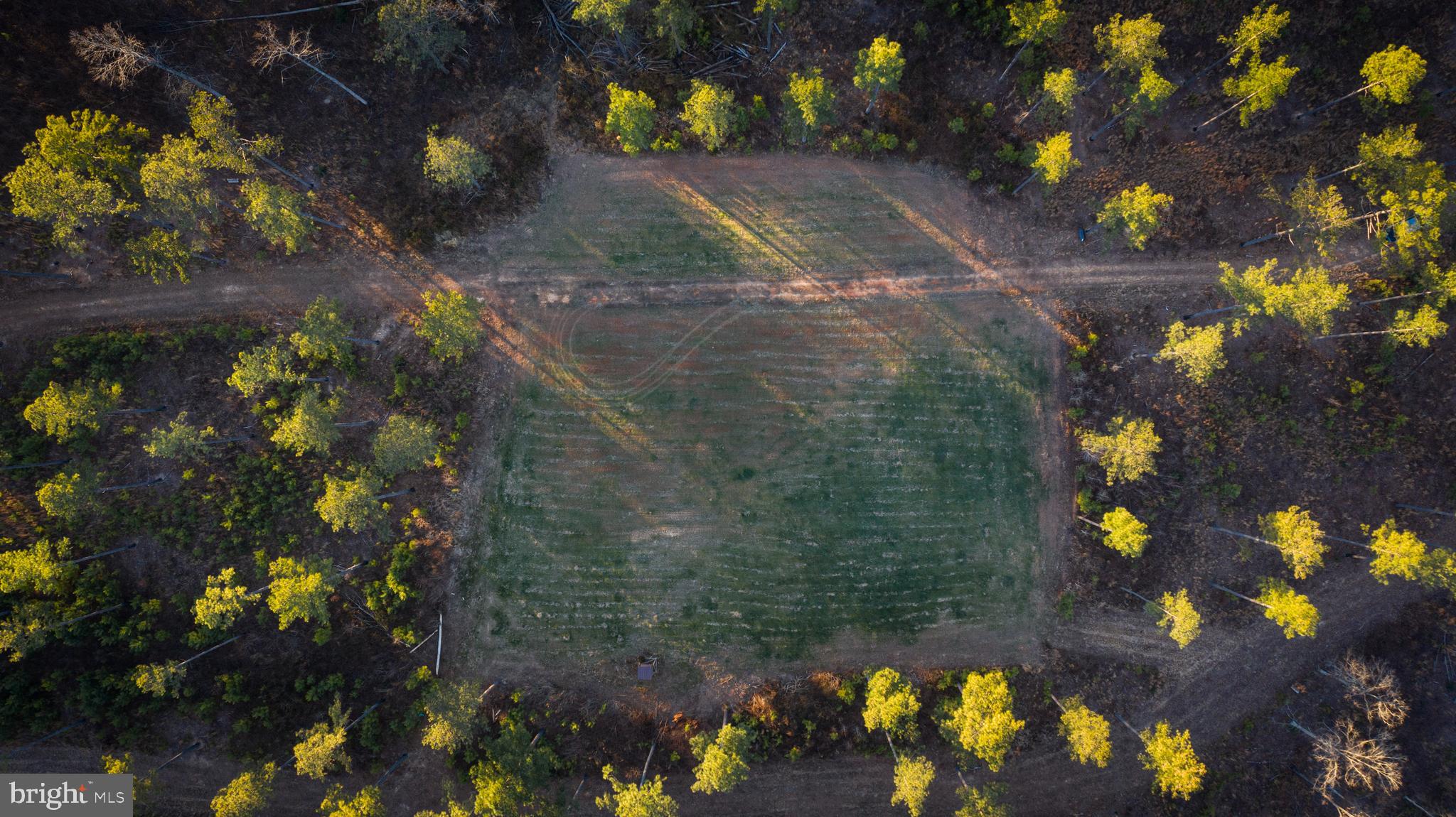 1052 South Hill Road Brodnax, VA 23920 - Photo 48 of 100