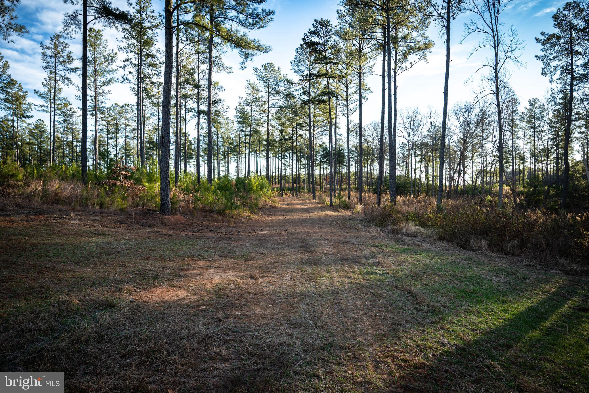 1052 South Hill Road Brodnax, VA 23920 - Photo 50 of 100 a view of outdoor space with trees