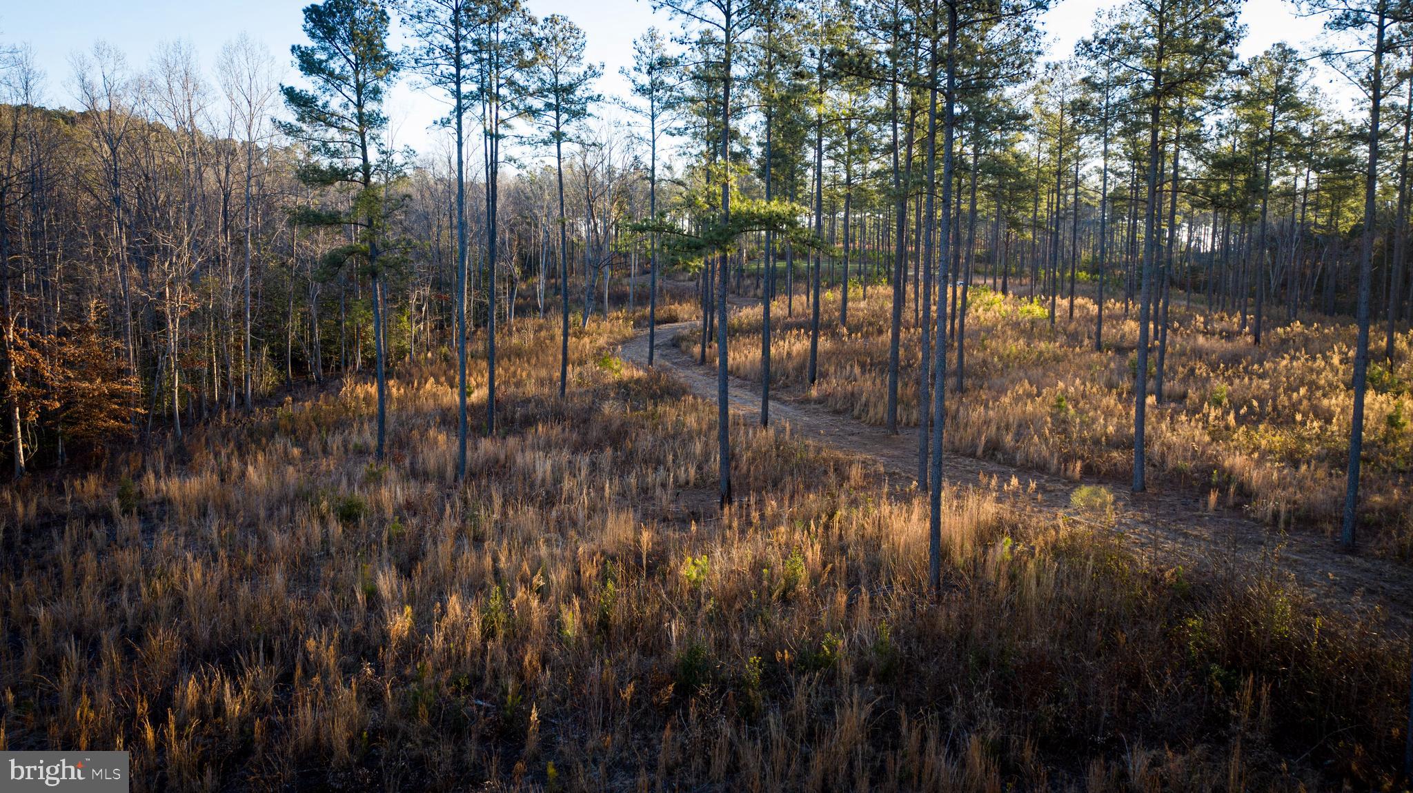 1052 South Hill Road Brodnax, VA 23920 - Photo 5 of 100 a view of water with a large tree in front of it