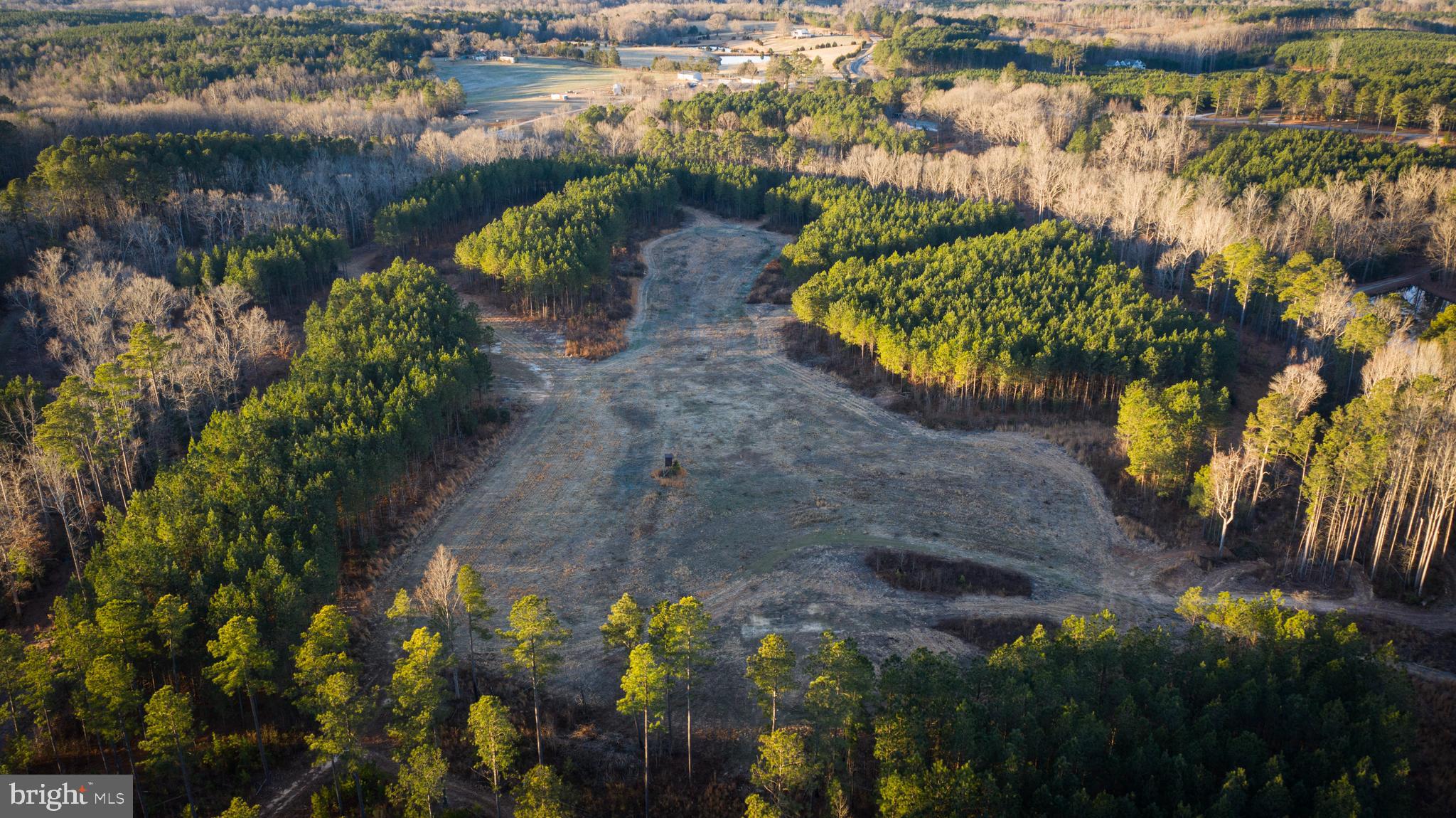 1052 South Hill Road Brodnax, VA 23920 - Photo 51 of 100