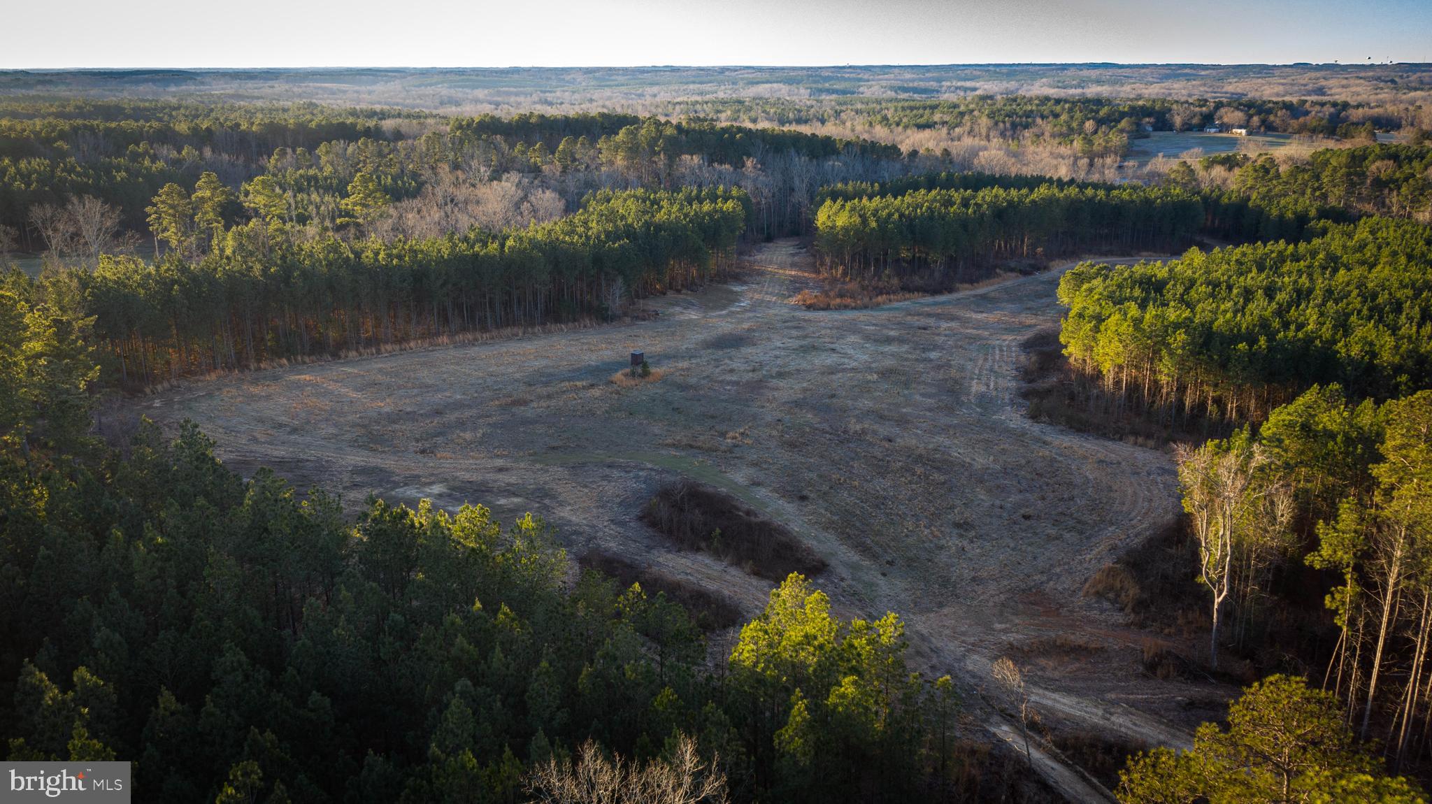 1052 South Hill Road Brodnax, VA 23920 - Photo 52 of 100