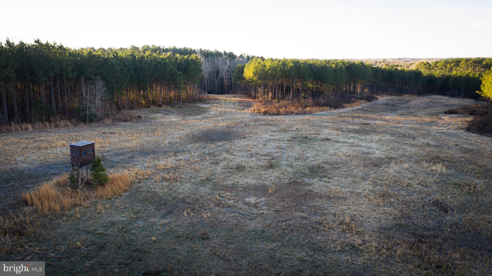 1052 South Hill Road Brodnax, VA 23920 - Photo 53 of 100